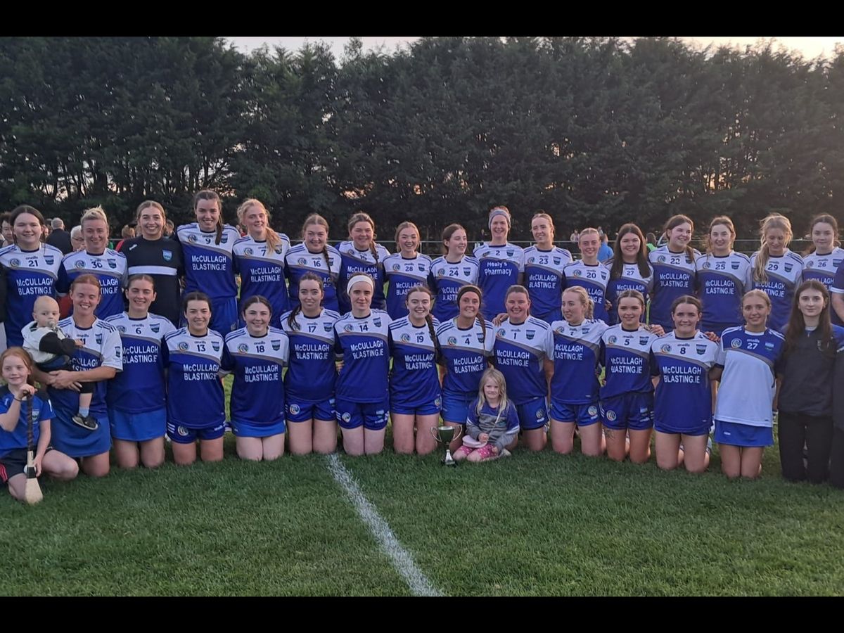 Fundraiser by Barry Smith : Barrow Rangers Camogie Club