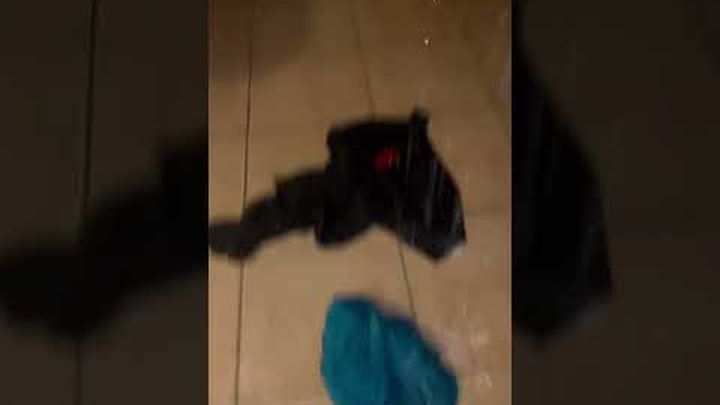 Help a Family Displaced from Collapsed Roof & Flooding video thumbnail, 1 of 6
