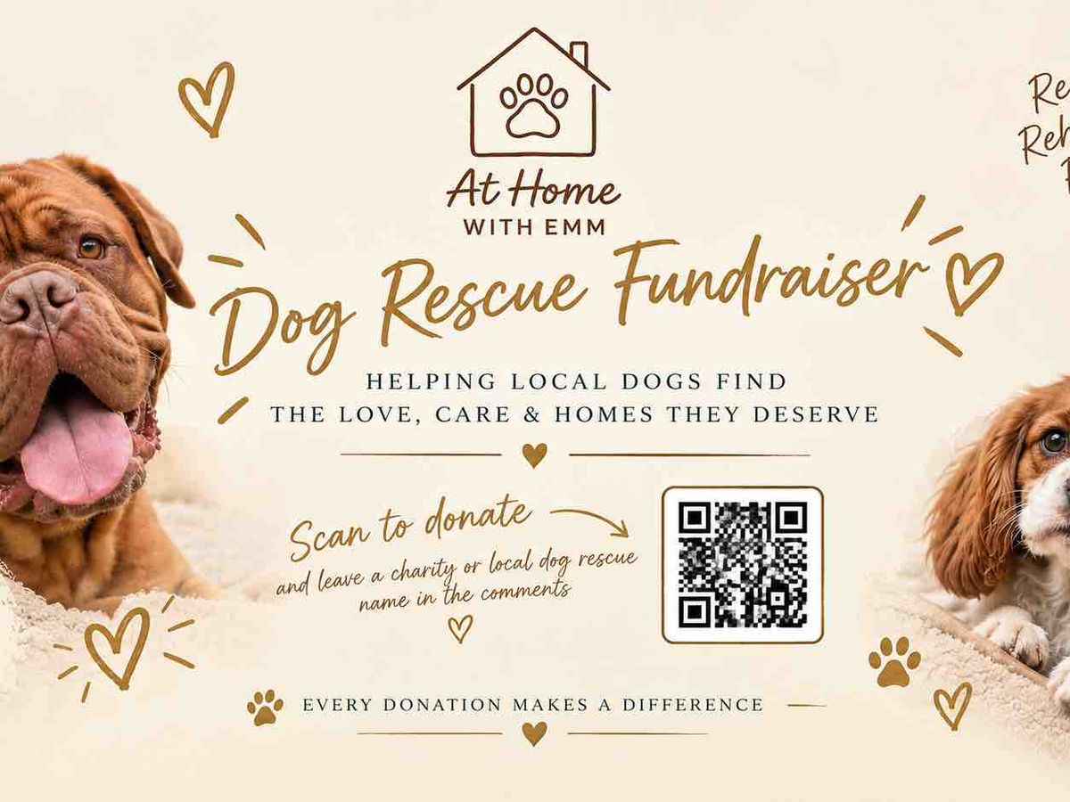 Fundraiser’s main image