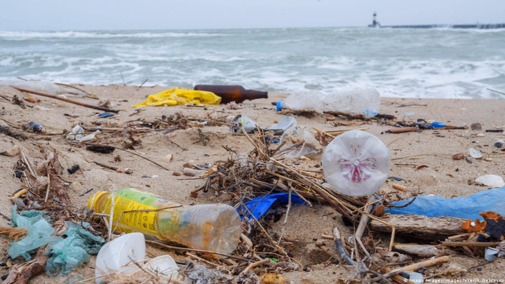 Save Our Shores campaign photo, 1 of 4