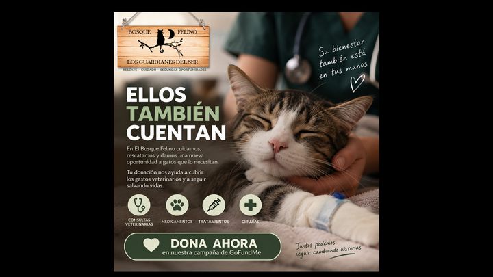 Ayúdanos a pagar sus gastos veterinarios campaign photo, 1 of 8