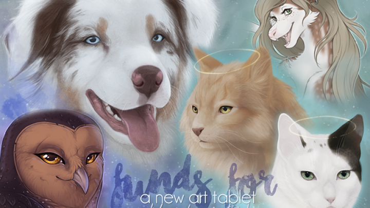 Main fundraiser photo