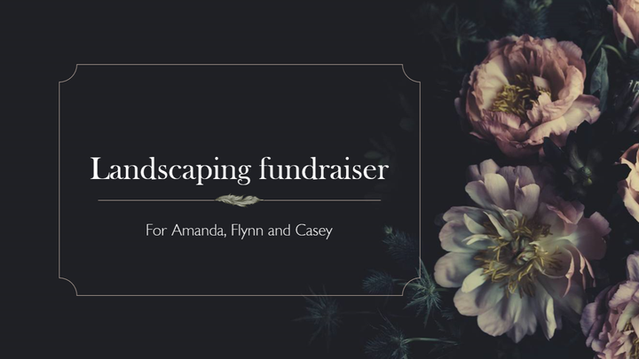 Main fundraiser photo