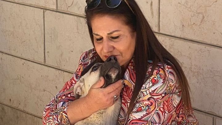 Save the Only Animal Shelter in the West Bank campaign photo, 1 of 8