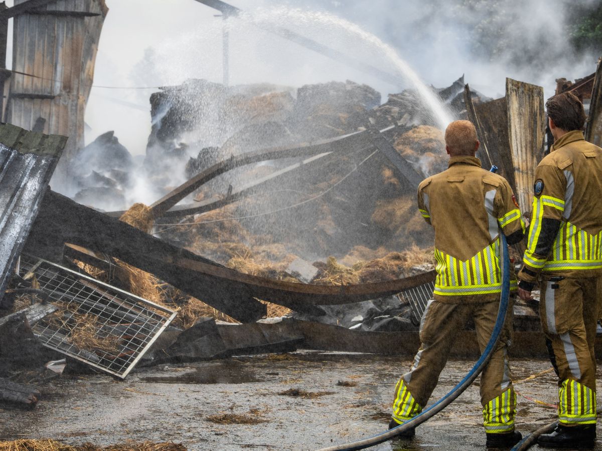 Hoofdafbeelding van de inzamelingsactie