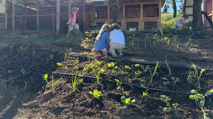 Help Riselva School Grow campaign photo, 1 of 8