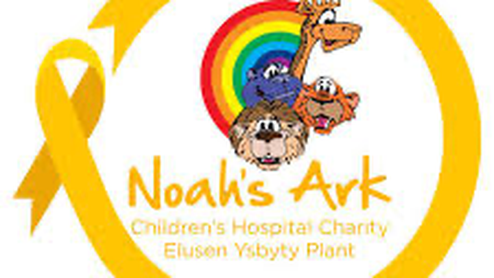 Main fundraiser photo