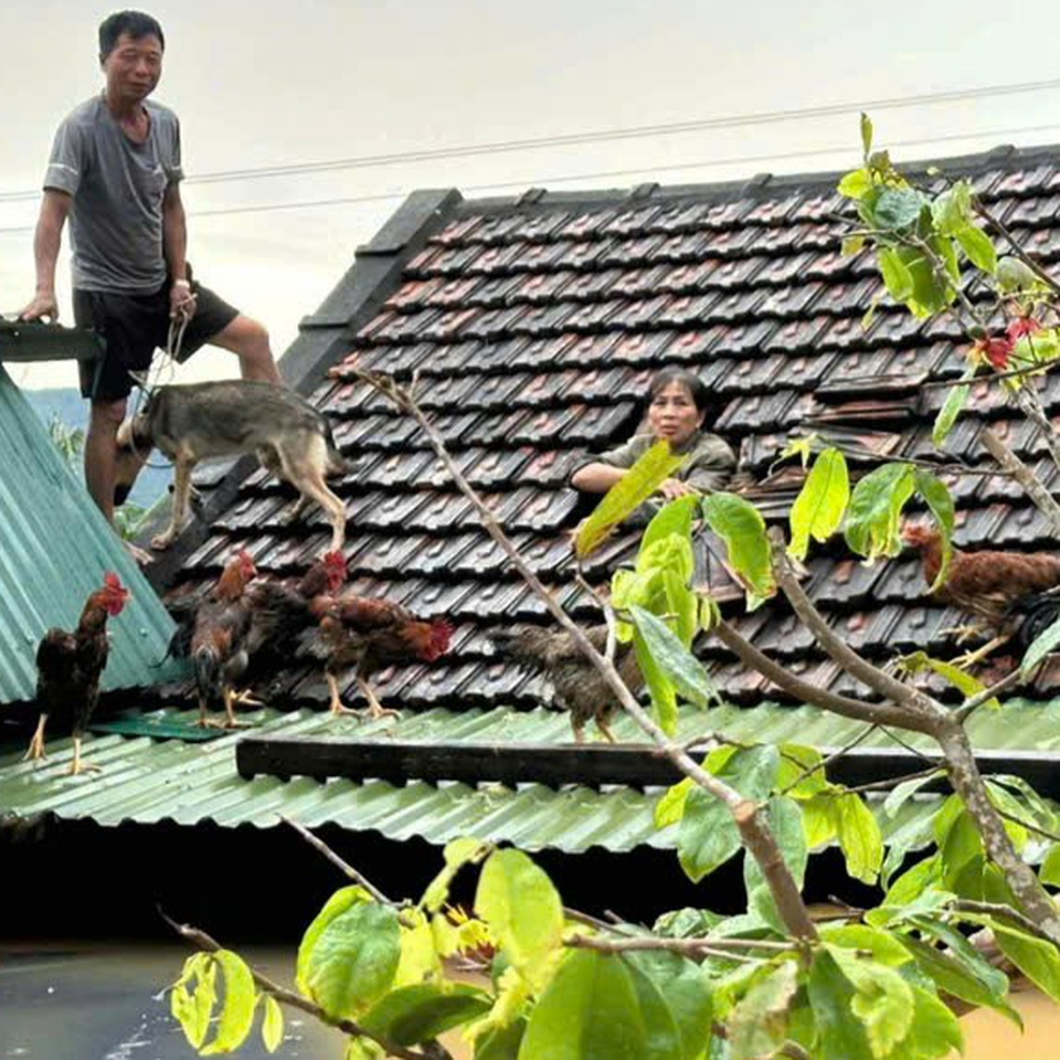 Urgent Help for Quang Nam Flood Victims