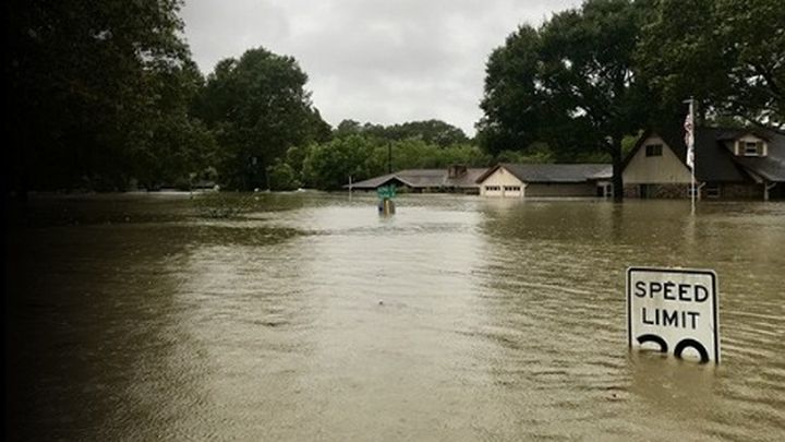 Foto principal de la recaudación de fondos