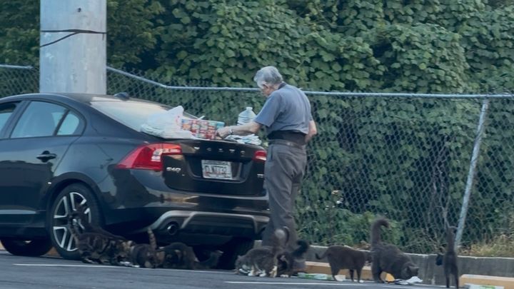 Support the Cat Man's Kindness