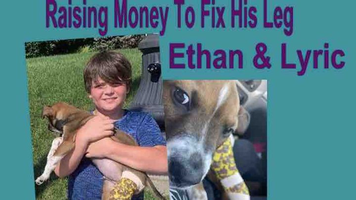 Help lyric the puppy who broke his tibia campaign photo, 1 of 2