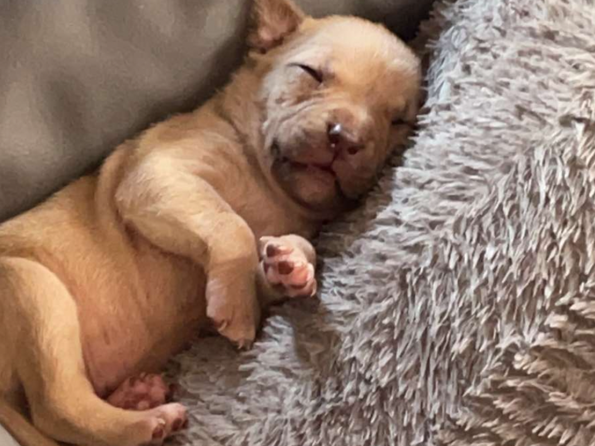 Fundraiser By Victoria Massinot Sauver Mon Petite Bebe Scott