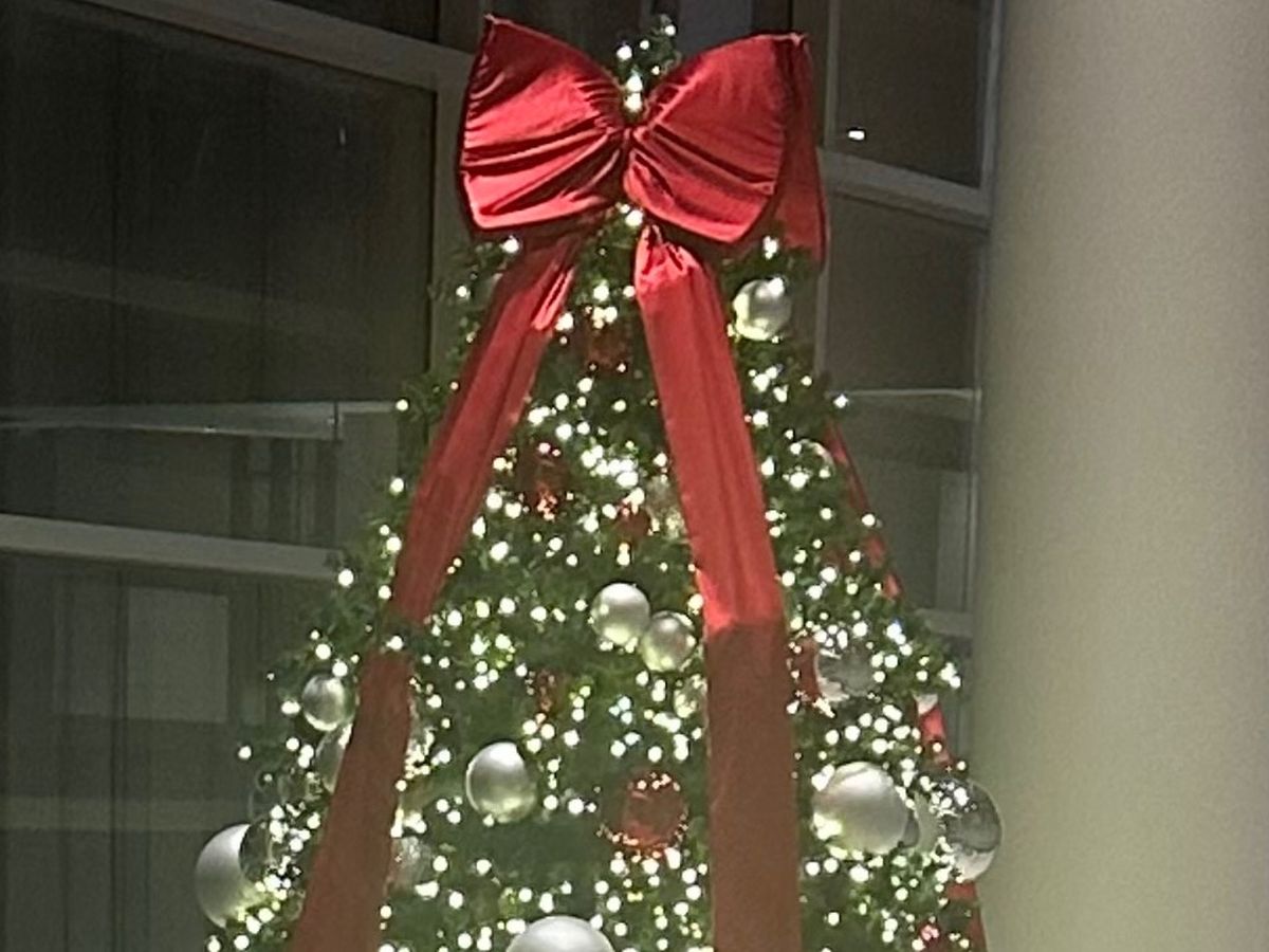 Fundraiser’s main image
