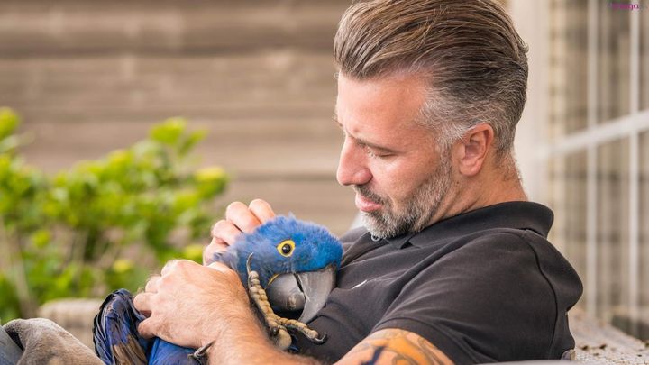 Steun HARECO dier en vriend  – elke euro maakt verschil.