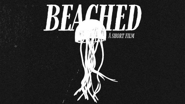Support our short film - Beached campaign photo, 1 of 7
