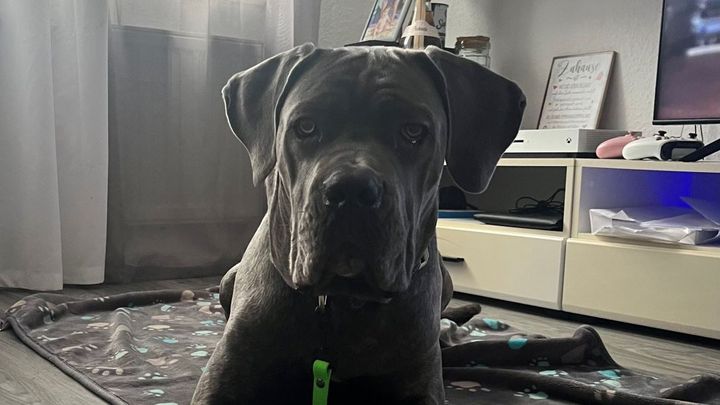 Main fundraiser photo