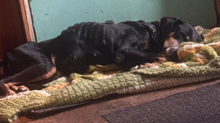 Help Maggie Get Urgent Care campaign photo, 1 of 6