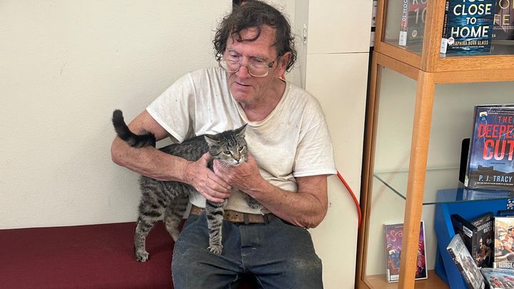 Help Paul Care for De Soto Stray Cats campaign photo, 1 of 8