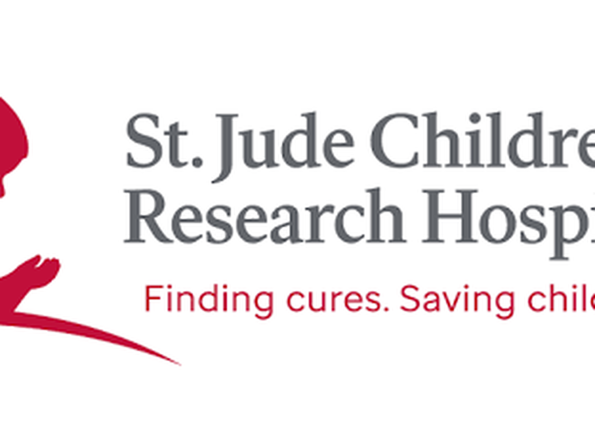 Fundraiser’s main image