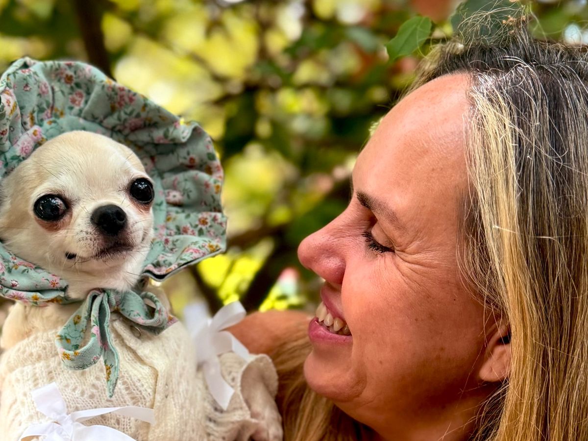 Amnimal Rising Fundraiser by Tammie P : Help an Animal Rescuer Keep Animals Safe