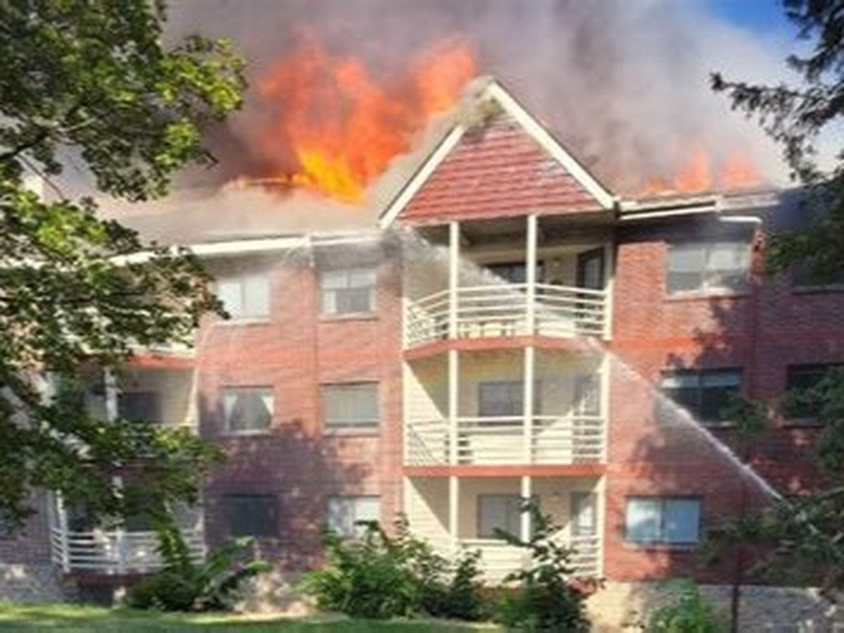 Help Dharma Field Friends Rebuild After Fire campaign photo, 1 of 5