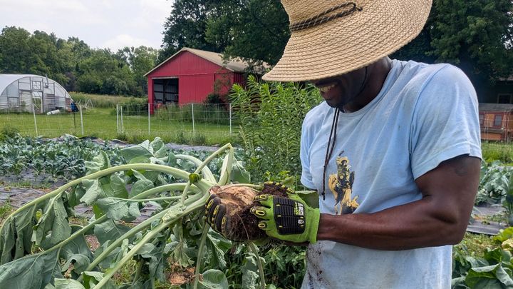 Support Bellwood Farms