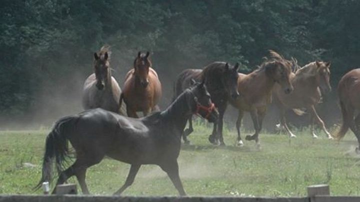 Foto principal de la recaudación de fondos