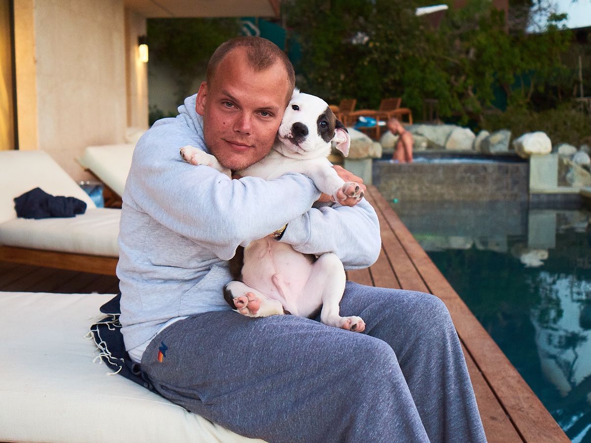 Saving Aviciis dog from cancer campaign photo, 1 of 8
