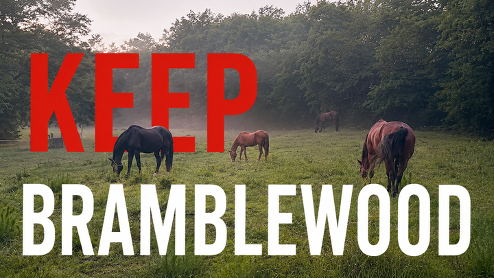 Save Bramblewood Stables: The Next Chapter campaign photo, 1 of 8