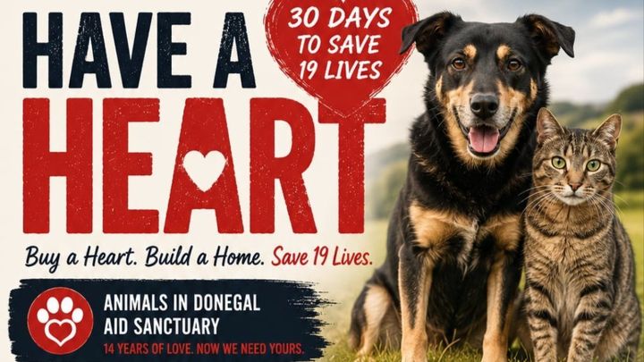 Fund the forever field for Rescued Animals campaign photo, 1 of 7
