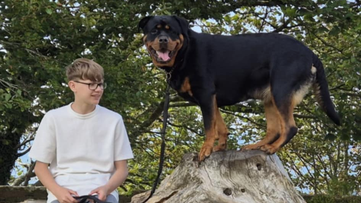 Help Luna through surgery campaign photo, 1 of 8