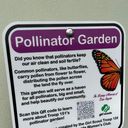 Profile photo of Girlscouts pollinator151