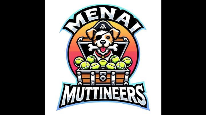 Help Keep the Menai Muttineers flyballing! campaign photo, 1 of 3