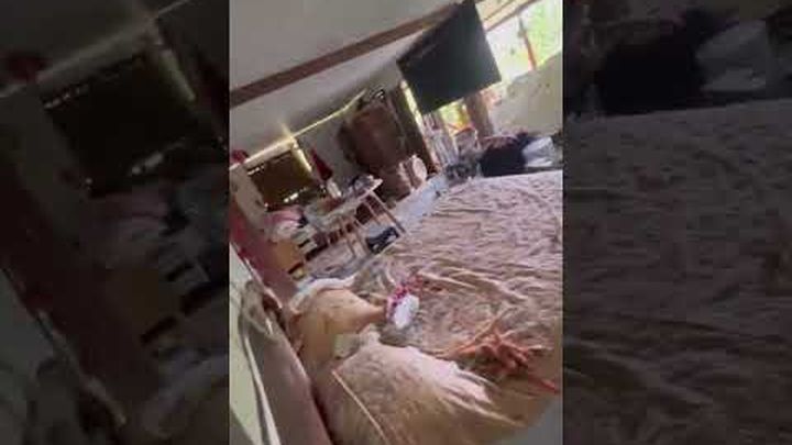 Ayuda a Henry Orozco y su familia video thumbnail, 1 of 9