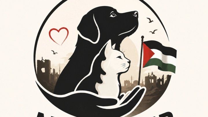 They Have No Voice campaign photo, 1 of 8
