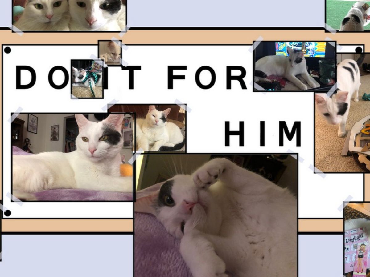 Fundraiser’s main image