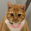 Profile photo of Zen Sara Tan