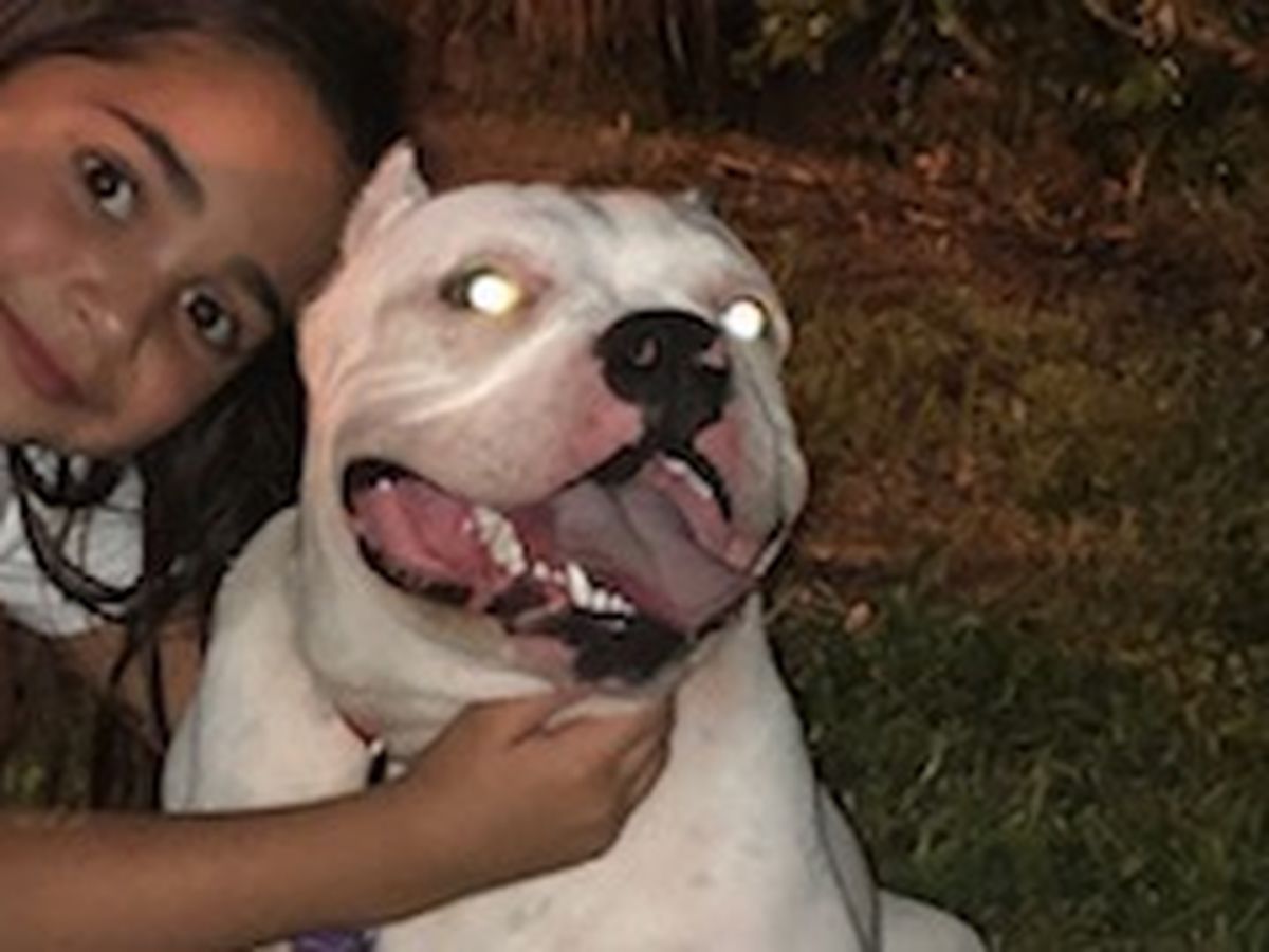 Fundraiser’s main image
