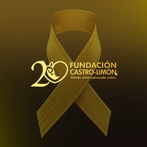Fundacion castro limon