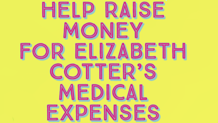 Help Elizabeth beat cancer and pay for treatment campaign photo, 1 of 2