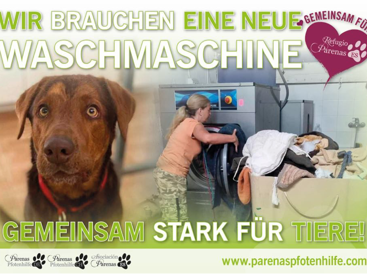 Fundraiser’s main image