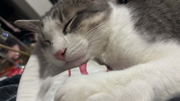 Help Rosemary Get Life-Saving Surgery campaign photo, 1 of 7