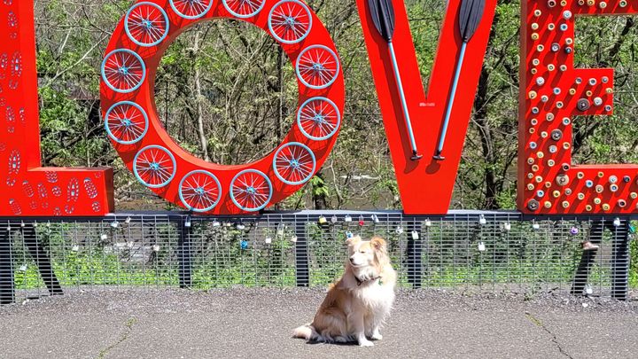 Help Me & My Dog Love Back to Safety campaign photo, 1 of 3
