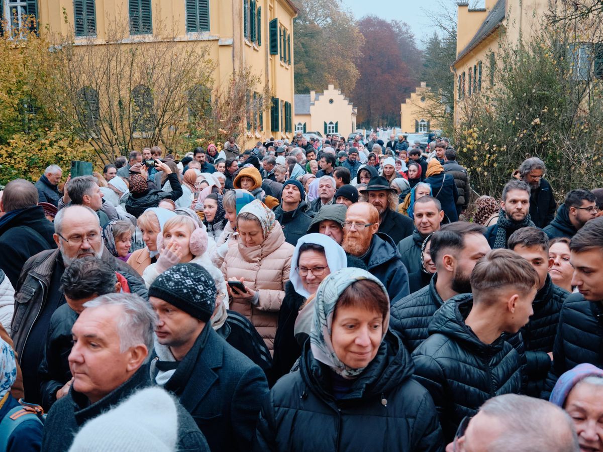 Preserve Seyfriedsberg Castle — Secure the New Monastery campaign photo, 1 of 8