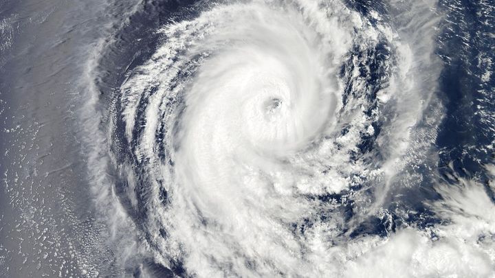 Escaping Florida's Hurricanes: Help Me Relocate campaign photo, 1 of 4