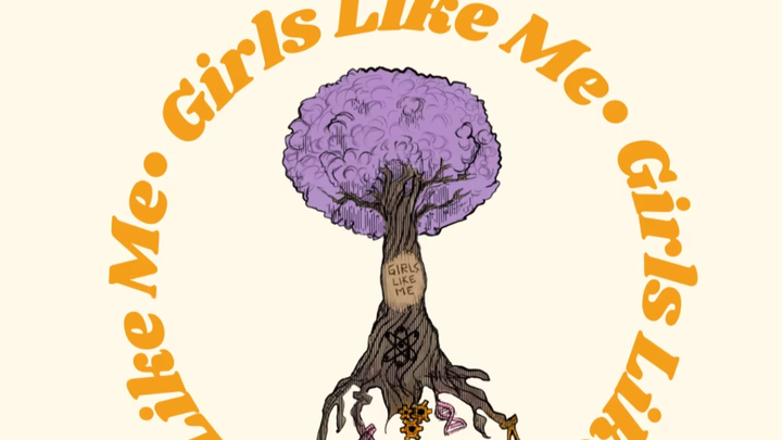 Donate to Girls Like Me: Empowering Future STEM Leaders campaign photo, 1 of 2