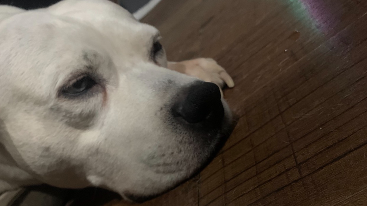 URGENT: Help Malaa get Surgery campaign photo, 1 of 7