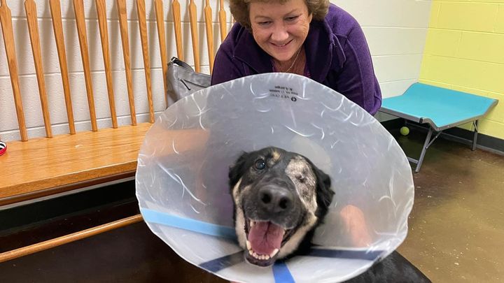 Main fundraiser photo