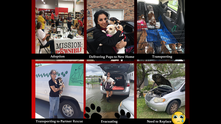 Every Dollar Helps Mission Pawsible Thrive campaign photo, 1 of 7