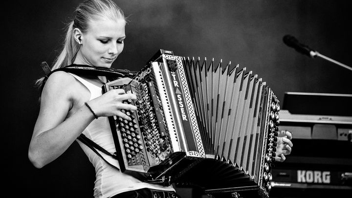 Eine neue Harmonika für Franzi campaign photo, 1 of 2